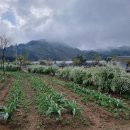 서곡리 경로당 이미지