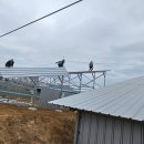 장기태양광발전소 이미지