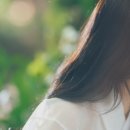 선녀와나무꾼 이미지