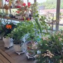 임진강수라상 이미지