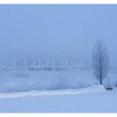 앙상블여성의원 이미지