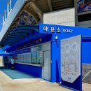 스포츠파크(좌) | 대구 삼성 라이온즈파크 주차장 및 팀스토어 라팍 SKY 요기보 패밀리존 좌석 시야