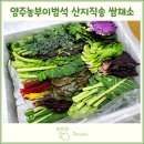 농부의 꿈 이미지