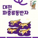 동반자 | 이게 진짜 이색 체험! 대전파충류동반자 방문후기