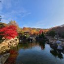 구천동송어마을 이미지