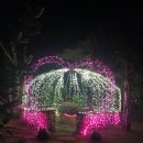 조은집애 한우 이미지