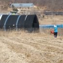 해마루농장 이미지