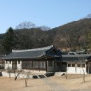 H9010 Daum카페