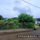 경남고성부동산 경남고성전원주택시골집매매 - 거류면 고운햇살 정원이 아름다운 가성비 좋은 시골집 전원주택매매 516제곱미터(156) 이미지