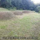 요덕골 | 용인 요덕골낚시터 좌대낚시 후기