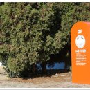 춘포역사 이미지