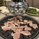 낙동생오리 | 대구 현지인 맛집 낙동생오리 만촌점 내돈내산 후기 예약