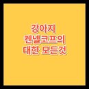 대한켄넬 이미지