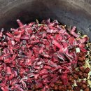 양지단비사슴농장 이미지