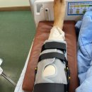 대동보조기 이미지