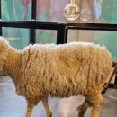 우리집첫째 양산점 이미지