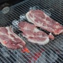 서창캠핑장 이미지