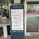 망원동 배드민턴장 이미지