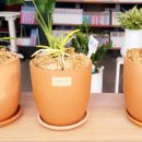 책나무작은도서관 이미지