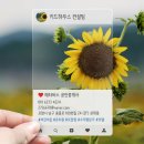 토탈당구장 이미지