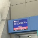 해피한 멍 | 은지 인 유럽 1 🇬🇧 하면 다 된다.