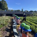 하이얀어린이집 이미지