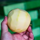 소망유통 이미지