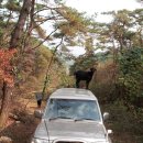 구룡리농장 이미지