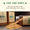 프레쉬트리안