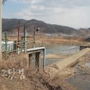 금반 이미지