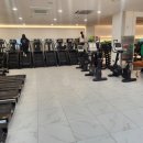 하이프(HIFE) 이미지