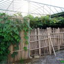 장성수퍼 이미지