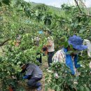 단장면행정복지센터 이미지