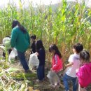 옥계한별 유치원 이미지