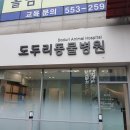 구성동물병원 네이버블로그