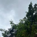 부동산중개청량 이미지