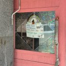 우리는미용이너무좋다 | 대전 고양이 무마취미용 미쓰고양이 / 목욕까지 깨끗하게 하고 온 진짜후기