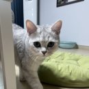 페츠온동물병원 이미지