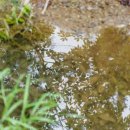 잿골체육공원 이미지