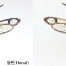 전남유리