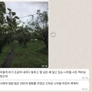 미건농장 이미지