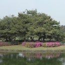 그랜드CC(회원제) 이미지