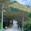 (주)미린산업 | 전남 두륜산 케이블카