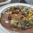 무주곤충박물관 이미지