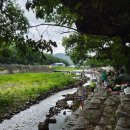 거락숲 아래하천 | 거락계곡 | 창원 마산 아이와 가볼만한곳, 우리 가족 찐단골인 이유🏞️