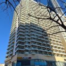 영무 파라드 호텔 | 부산 해운대 애견 동반 가능한 가성비호텔 영무파라드호텔 내돈내산 후기