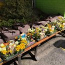 충암유치원 이미지