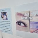네일도눈썹 | 자연스러운 디자인이 만족스러운 수원속눈썹연장 네일도속눈썹 후기