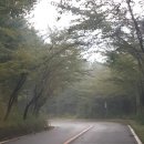 상북초등학교소호분교장 이미지