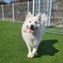 불리빌로우코리아센터 이미지